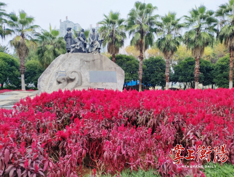 2132-20231115-a493e9ca69a14166bbc3bea14abab6bd