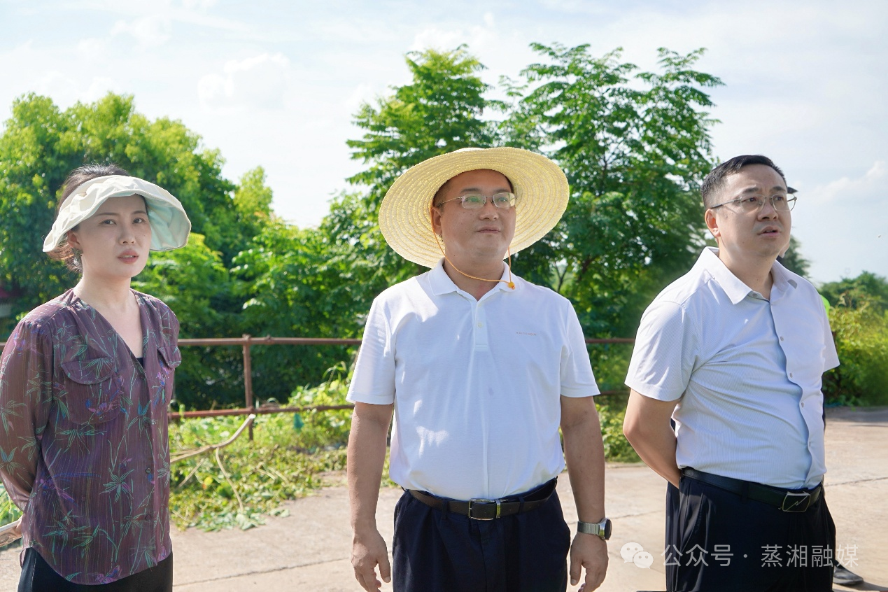 靶向攻坚守护蒸湘碧水 协同发力筑牢生态屏障