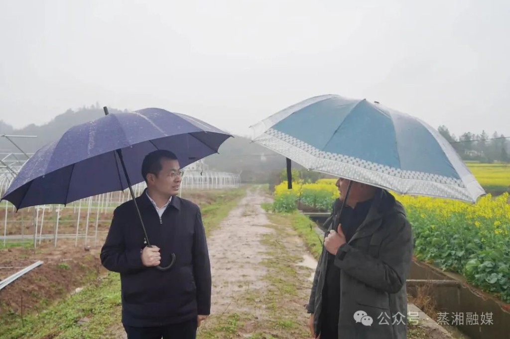 做强特色蔬菜产业 壮大现代农业集群