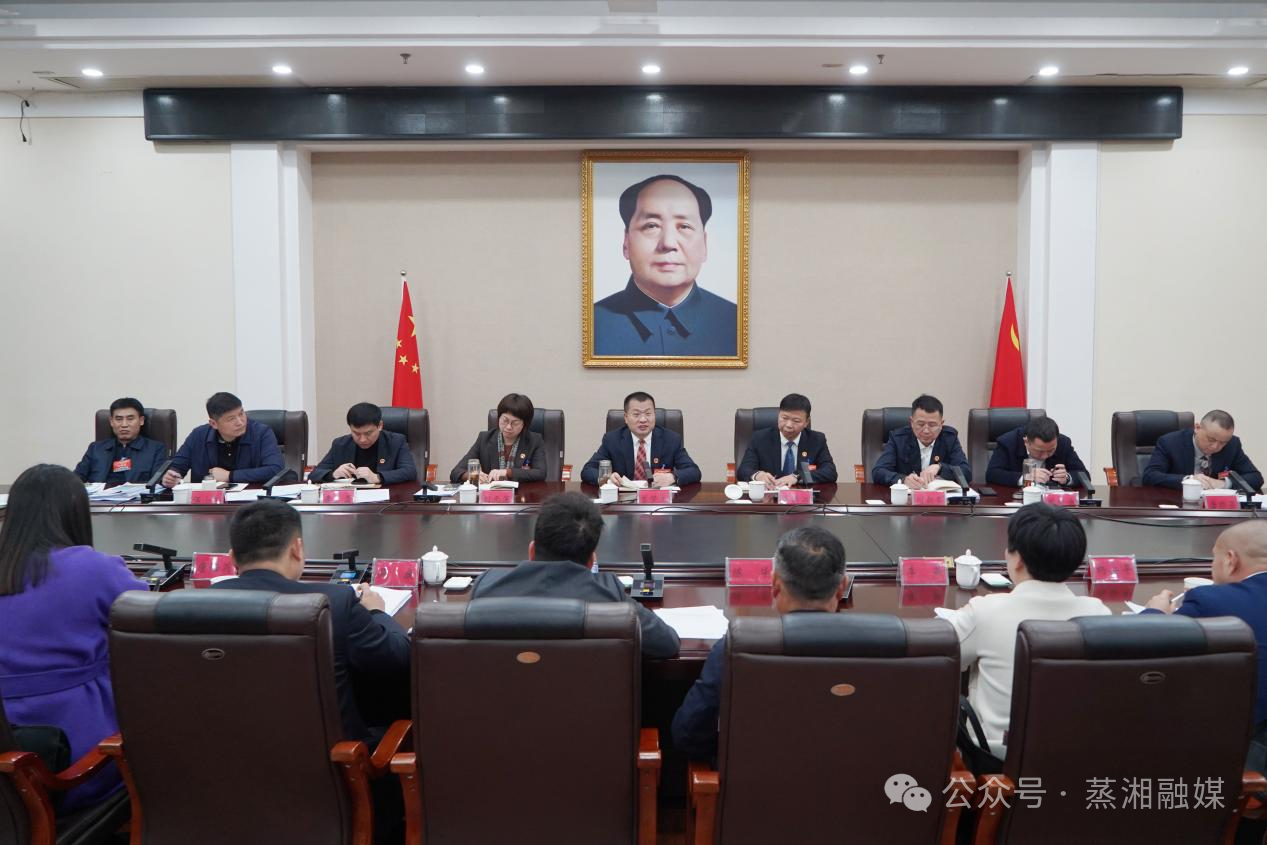 直击两会 | 曾梦龙参加雨母山镇代表团分组讨论