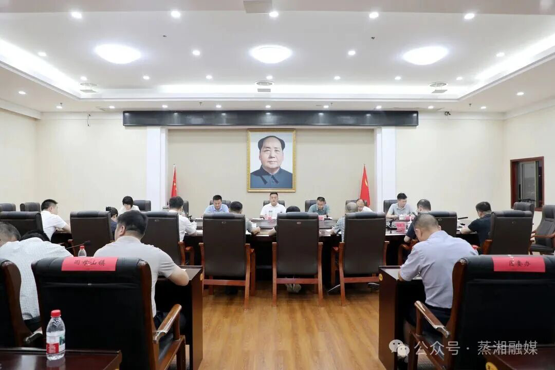 蒸湘区召开区委树立和践行正确政绩观学习教育阶段性情况汇报会